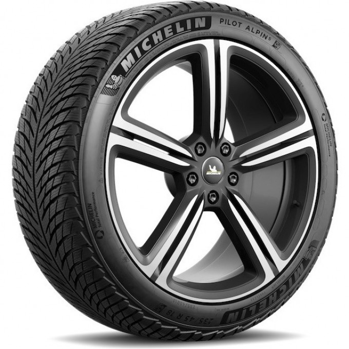 Шины MICHELIN PILOT ALPIN 5 295/35 R20 105W XL 299779